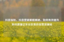 抖音涨粉，抖音营销策略揭秘，如何有效提升粉丝数量亿乐社区低价自营货源站