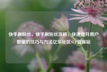 快手刷粉丝，快手刷粉丝攻略，快速提升用户数量的技巧与方法亿乐社区SUP货源站