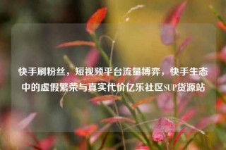 快手刷粉丝，短视频平台流量博弈，快手生态中的虚假繁荣与真实代价亿乐社区SUP货源站