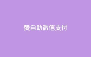 Ks赞自助微信支付,抖音点赞秒到账 - ks一元1000个赞秒到软件 - ks免费业务网址