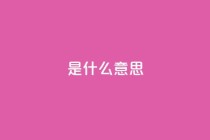 ks是什么意思?,ks低价下单平台业务 - ks业务自助下单货源最低价 - ks业务粉丝