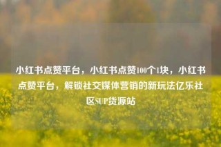 小红书点赞平台，小红书点赞100个1块，小红书点赞平台，解锁社交媒体营销的新玩法亿乐社区SUP货源站