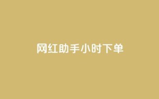 网红助手24小时下单,ks在线业务 - 卡盟抖音 - ks便宜的下单平台