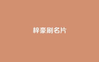 梓豪刷名片,抖音粉丝怎么充 - qq空间快速秒赞全网最低 - Dy号商购买