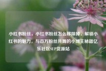 小红书粉丝，小红书粉丝怎么移除掉，解锁小红书的魅力，与百万粉丝共舞的小博主秘籍亿乐社区SUP货源站