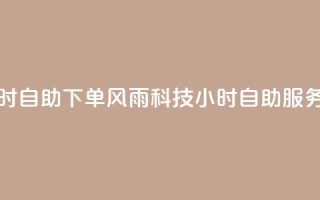 风雨科技24小时自助下单 - 风雨科技24小时自助服务订购！