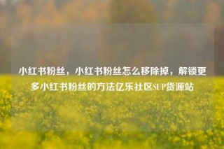 小红书粉丝，小红书粉丝怎么移除掉，解锁更多小红书粉丝的方法亿乐社区SUP货源站