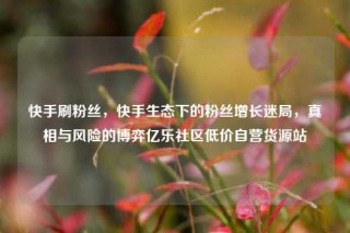快手刷粉丝，快手生态下的粉丝增长迷局，真相与风险的博弈亿乐社区低价自营货源站
