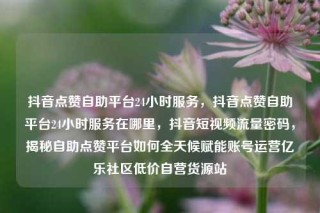 抖音点赞自助平台24小时服务，抖音点赞自助平台24小时服务在哪里，抖音短视频流量密码，揭秘自助点赞平台如何全天候赋能账号运营亿乐社区低价自营货源站
