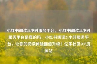 小红书阅读24小时服务平台，小红书阅读24小时服务平台是真的吗，小红书阅读24小时服务平台，让你的阅读体验翻倍升级！亿乐社区SUP货源站