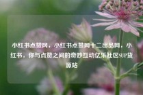 小红书点赞网，小红书点赞网十二出品网，小红书，你与点赞之间的奇妙互动亿乐社区SUP货源站