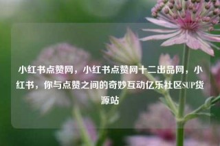 小红书点赞网，小红书点赞网十二出品网，小红书，你与点赞之间的奇妙互动亿乐社区SUP货源站