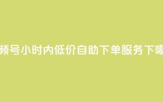 视频号24小时内低价自助下单服务