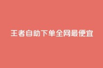 王者自助下单全网最便宜,闲鱼卡盟下单平台 - 云小店QQ快手点赞 - ks24小时业务自助下单网站