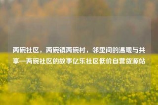 两碗社区，两碗镇两碗村，邻里间的温暖与共享—两碗社区的故事亿乐社区低价自营货源站