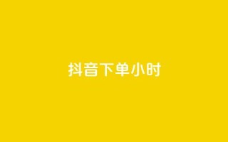 抖音下单24小时 - 抖音评论自定义下单
