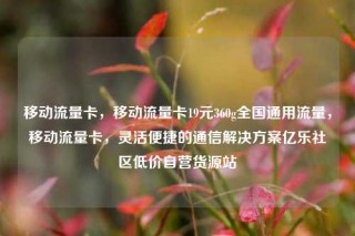 移动流量卡，移动流量卡19元360g全国通用流量，移动流量卡，灵活便捷的通信解决方案亿乐社区低价自营货源站