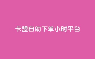 卡盟自助下单24小时平台,彩虹云商城网站 - 球球大作战自助下单中心 - 抖音24小时自助免费