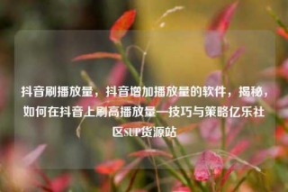 抖音刷播放量，抖音增加播放量的软件，揭秘，如何在抖音上刷高播放量—技巧与策略亿乐社区SUP货源站