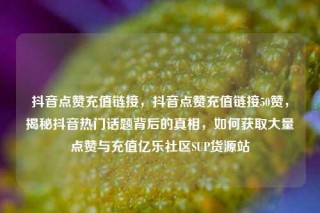 抖音点赞充值链接，抖音点赞充值链接50赞，揭秘抖音热门话题背后的真相，如何获取大量点赞与充值亿乐社区SUP货源站
