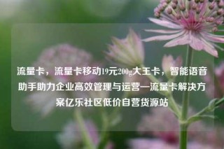 流量卡，流量卡移动19元200g大王卡，智能语音助手助力企业高效管理与运营—流量卡解决方案亿乐社区低价自营货源站