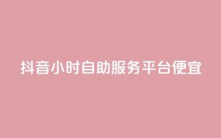 抖音24小时自助服务平台便宜 - 抖音24小时优惠自助服务平台!