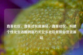 直客社区，直客社区货源站，直客社区，构建个性化生活圈的新方式亿乐社区低价自营货源站