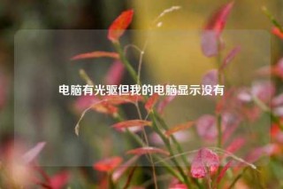 电脑有光驱但我的电脑显示没有