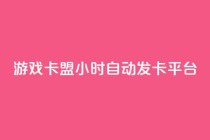 游戏卡盟24小时自动发卡平台 - 24小时自动发卡，游戏卡盟平台全新升级！