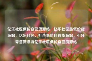 亿乐社区低价自营货源站，亿乐社区最低价货源站，亿乐社区，打造低价自营货源站，引领零售新潮流亿乐社区低价自营货源站