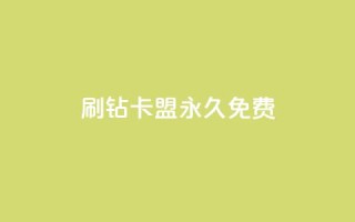 qq刷钻卡盟永久免费,ks业务自助下单网站秒到 - 空间人气精灵 - 一元一百赞买赞平台微信支付
