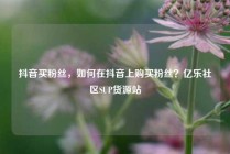 抖音买粉丝，如何在抖音上购买粉丝？亿乐社区SUP货源站