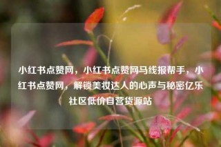 小红书点赞网，小红书点赞网马线报帮手，小红书点赞网，解锁美妆达人的心声与秘密亿乐社区低价自营货源站