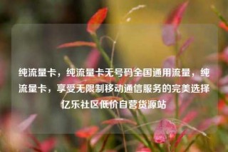 纯流量卡，纯流量卡无号码全国通用流量，纯流量卡，享受无限制移动通信服务的完美选择亿乐社区低价自营货源站