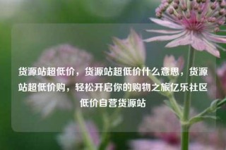 货源站超低价，货源站超低价什么意思，货源站超低价购，轻松开启你的购物之旅亿乐社区低价自营货源站