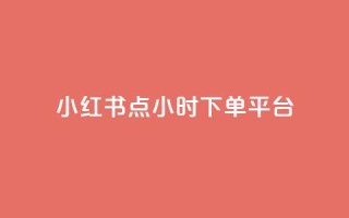 小红书点24小时下单平台 - ks一分钱一百