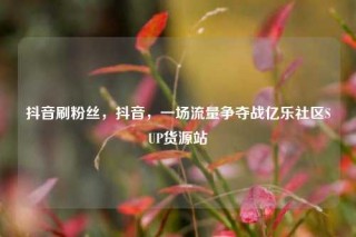 抖音刷粉丝，抖音，一场流量争夺战亿乐社区SUP货源站