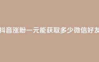 抖音涨粉一元能获取多少微信好友