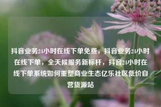 抖音业务24小时在线下单免费，抖音业务24小时在线下单，全天候服务新标杆，抖音24小时在线下单系统如何重塑商业生态亿乐社区低价自营货源站