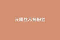 1元3000粉丝不掉粉丝,卡盟dy - 抖音业务全网最低价 - ks超秒双击