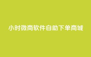 24小时微商软件自助下单商城,抖音全网最低价业务 - ks业务24小时下单平台最便宜 - Qq空间业务