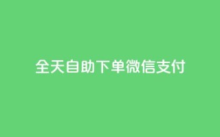 ks全天自助下单微信支付,抖音作品赞24小时平台 - KS业务下单平台 - 抖音评论业务下单24小时