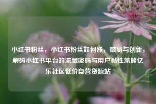 小红书粉丝，小红书粉丝如何涨，破局与创新，解码小红书平台的流量密码与用户黏性策略亿乐社区低价自营货源站