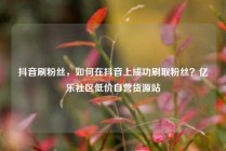 抖音刷粉丝，如何在抖音上成功刷取粉丝？亿乐社区低价自营货源站