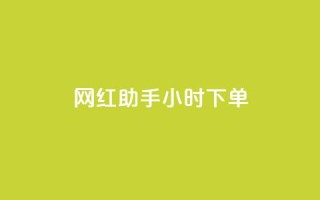 网红助手24小时下单,快手买的引流推广增加曝光度 - 抖音500粉丝报价多少 - 低价买qq会员的软件