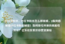 小红书粉丝，小红书粉丝怎么移除掉，Q版风格解锁小红书粉的秘密！如何吸引并保持高黏性粉丝？亿乐社区低价自营货源站