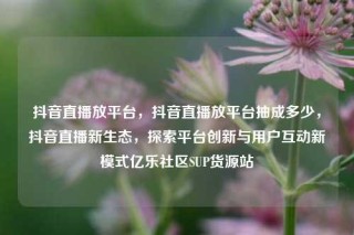 抖音直播放平台，抖音直播放平台抽成多少，抖音直播新生态，探索平台创新与用户互动新模式亿乐社区SUP货源站