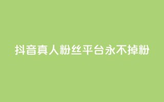 抖音真人粉丝平台 永不掉粉,抖音怎么增加浏览量和粉丝 - 全网最低价qq业务平台登录 - 快手涨1000粉丝网站是多少