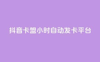 抖音卡盟24小时自动发卡平台,颜夕卡盟 - 全网辅助货源站 - 快手点赞评论软件微信支付