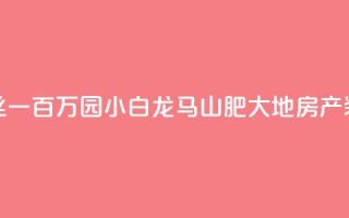 快手粉丝一百万0.01园小白龙马山肥大地房产装修网站,直播间人气协议网站 - 抖音低价业务全网最低 - 抖音点赞极速到账